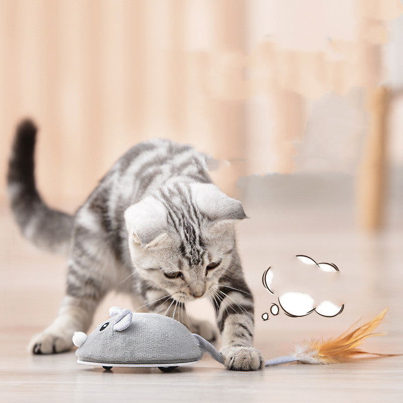 Cat Toy Crawling Mouse With USB Charging - maxsophie.com