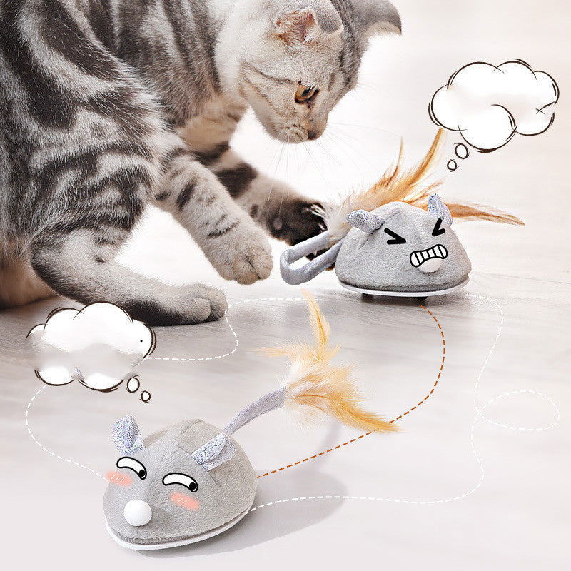 Cat Toy Crawling Mouse With USB Charging - maxsophie.com