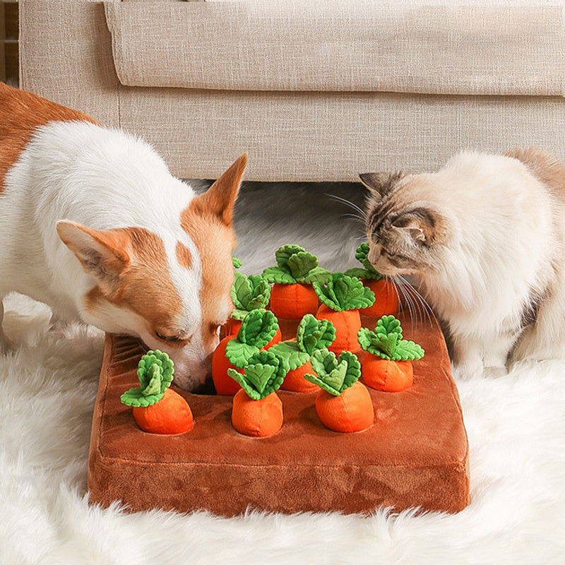 Dog Carrot Plush Chew Toy - maxsophie.com