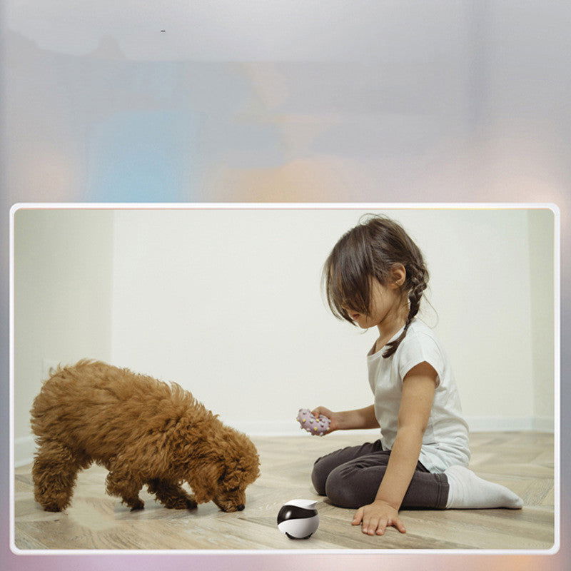 Home Robot Pet Monitoring Mobile Camera - maxsophie.com