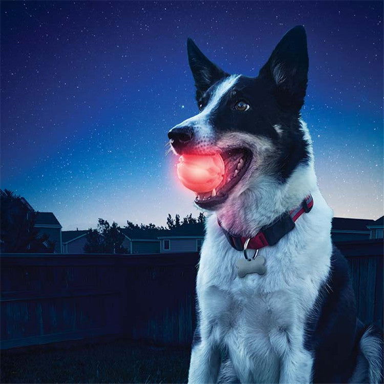 LED Glowing Dog Biting Ball - maxsophie.com