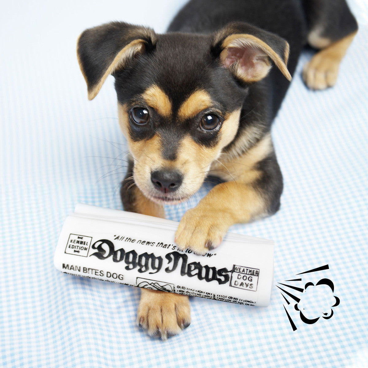 Squeaky Newspaper Chew Training Toys - maxsophie.com