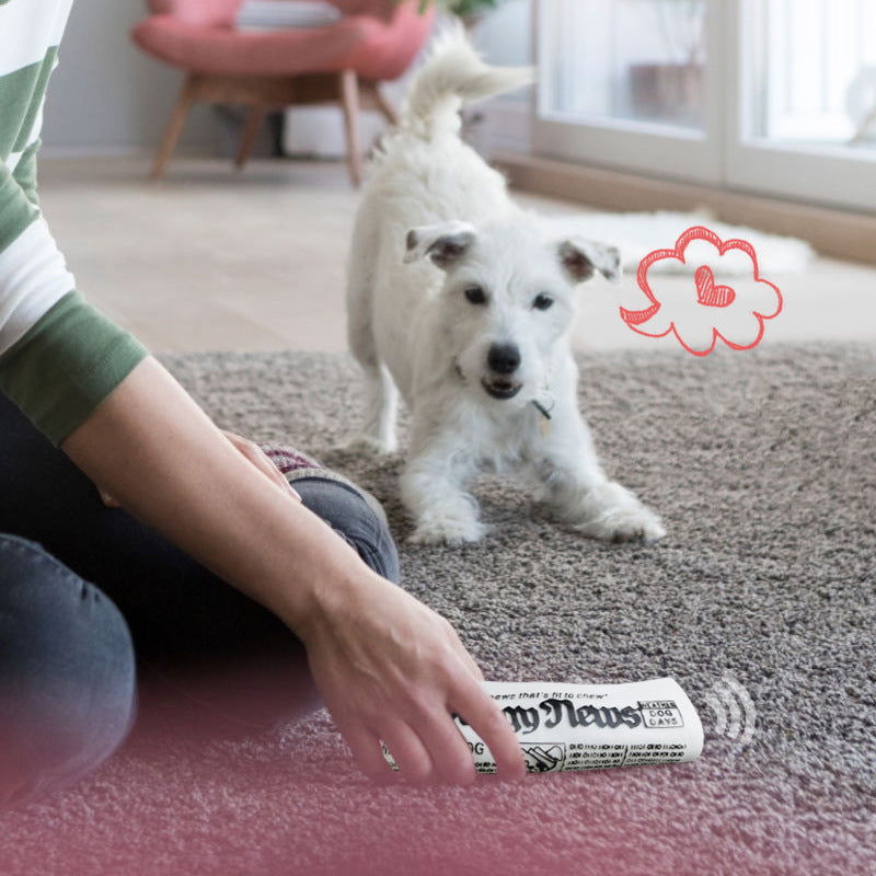 Squeaky Newspaper Chew Training Toys - maxsophie.com