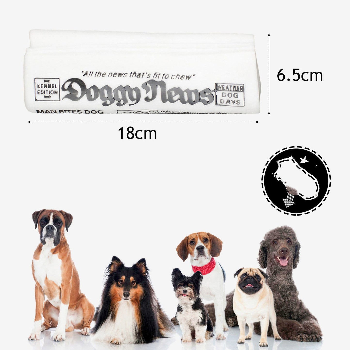 Squeaky Newspaper Chew Training Toys - maxsophie.com