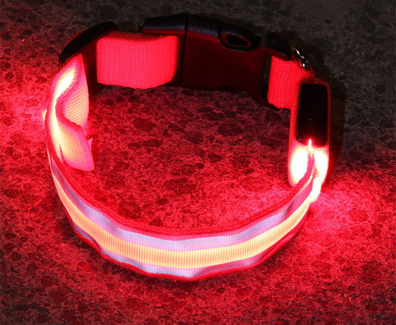 Anti-lost Led Luminous Dog Collar - My Store - - #tag1# 