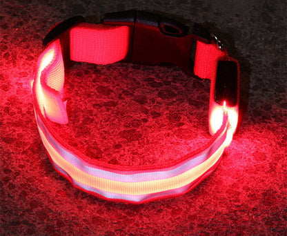 Anti-lost Led Luminous Dog Collar - My Store - - #tag1# 