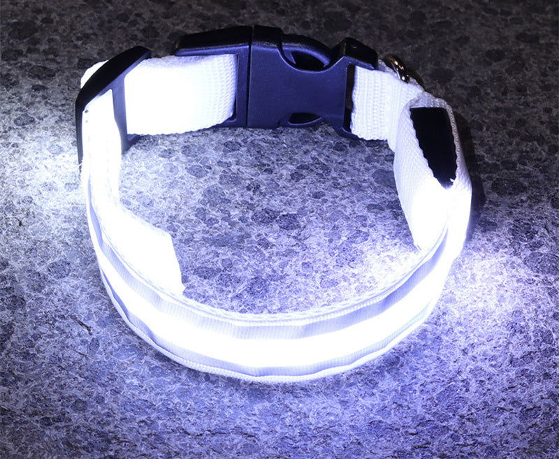Anti-lost Led Luminous Dog Collar - My Store - - #tag1# - #tag2#
