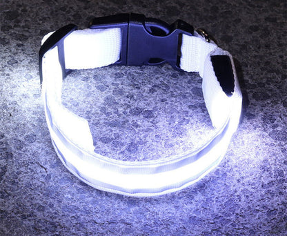 Anti-lost Led Luminous Dog Collar - My Store - - #tag1# - #tag2#