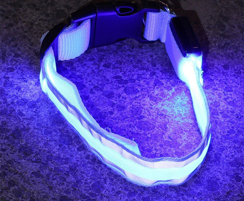 Anti-lost Led Luminous Dog Collar - My Store - - #tag1# - #tag2#