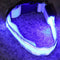 Anti-lost Led Luminous Dog Collar - My Store - - #tag1# - #tag2#
