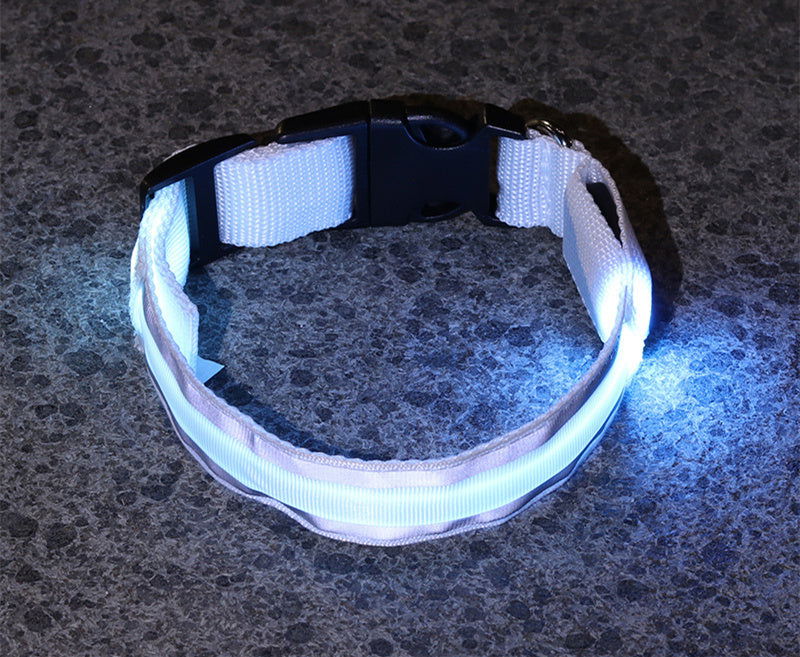 Anti-lost Led Luminous Dog Collar - My Store - - #tag1# - #tag2#
