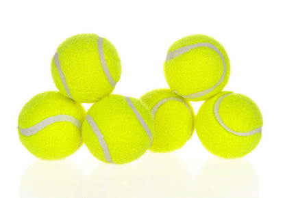 Automatic Dog Ball Launcher - maxsophie.com
