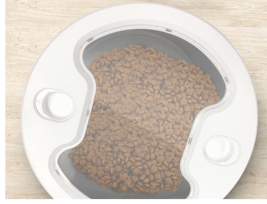 Cat And Dog Food Automatic Dispenser Stainless Steel  With Recording Timing Feeding - maxsophie.com