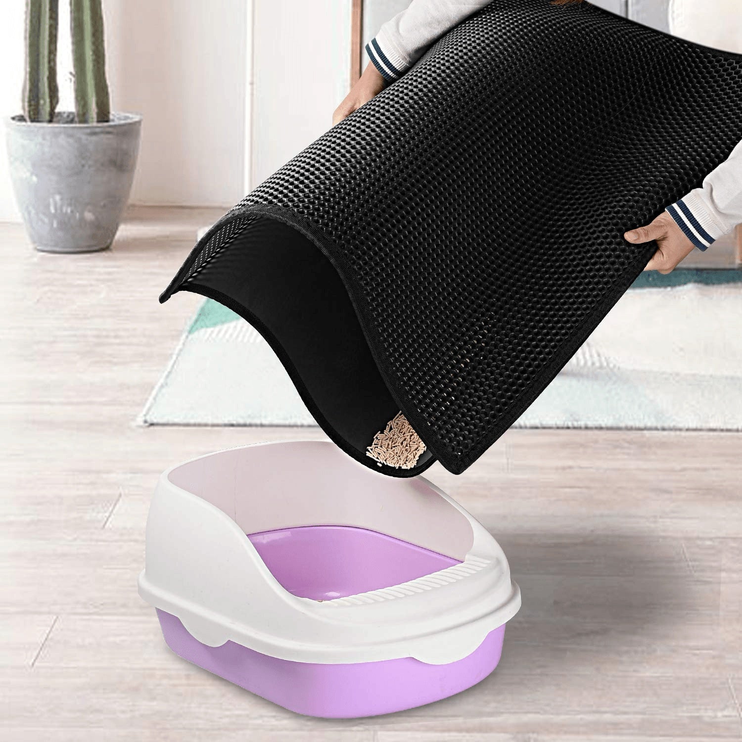 Cat Litter Mat - My Store - - #tag1# - #tag2#