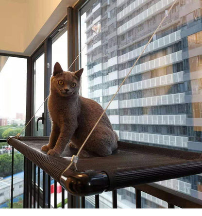 Cat Window Hammock - maxsophie.com