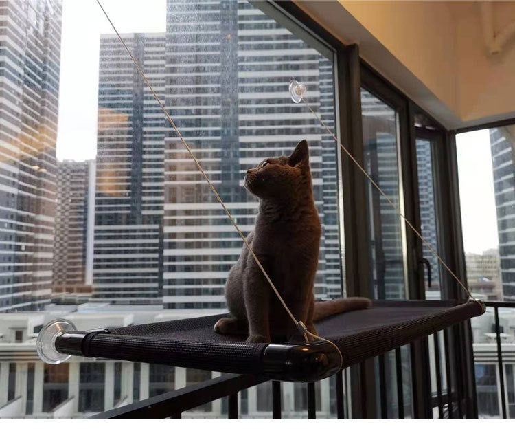 Cat Window Hammock - maxsophie.com