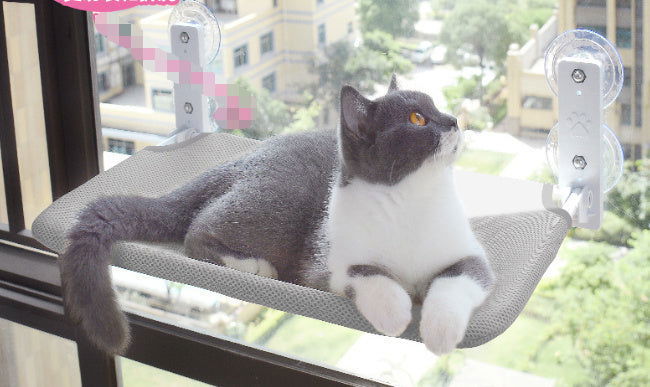 Cat Window Hammock different styles and sizes - maxsophie.com