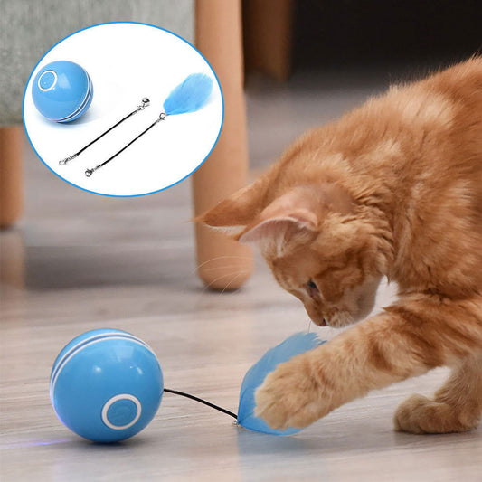 Colorful LED Laser Funny Cat Ball Toy - maxsophie.com