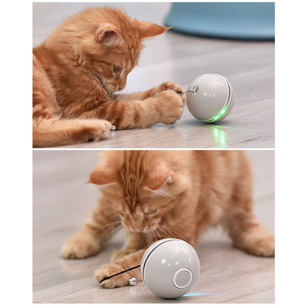 Colorful LED Laser Funny Cat Ball Toy - maxsophie.com