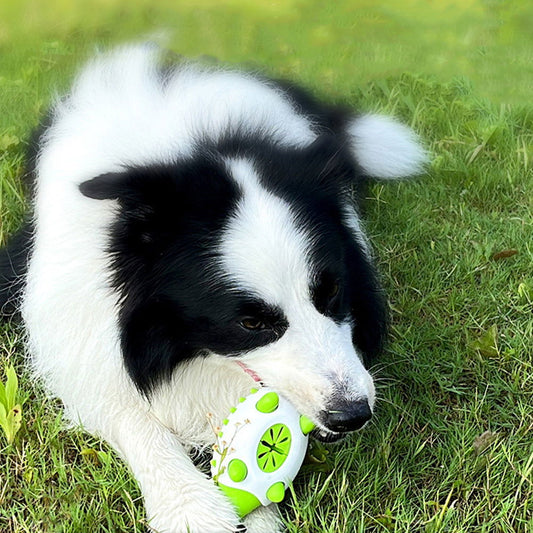 Dog  Leaking Chewing Tooth Cleaning Toy - maxsophie.com