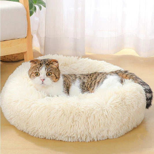 Dog and Cat Super Soft Washable  Plush Bed - maxsophie.com