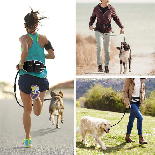 Hands-Free dog leash - My Store - - #tag1# - #tag2#
