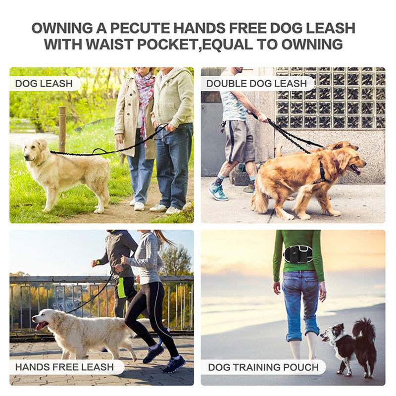 Hands-Free dog leash - My Store - - #tag1# - #tag2#