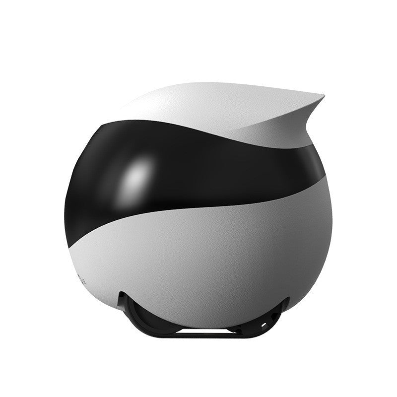 Home Robot Pet Monitoring Mobile Camera - maxsophie.com