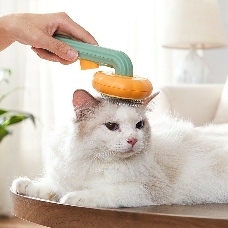 Pet Grooming Self Cleaning Brush - maxsophie.com