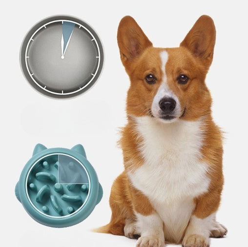 Pet Slow Feeder Bowls - My Store - - #tag1# - #tag2#