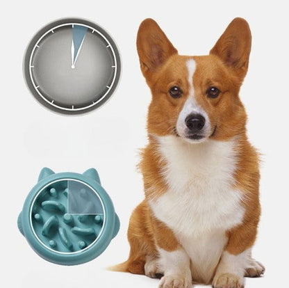 Pet Slow Feeder Bowls - My Store - - #tag1# - #tag2#