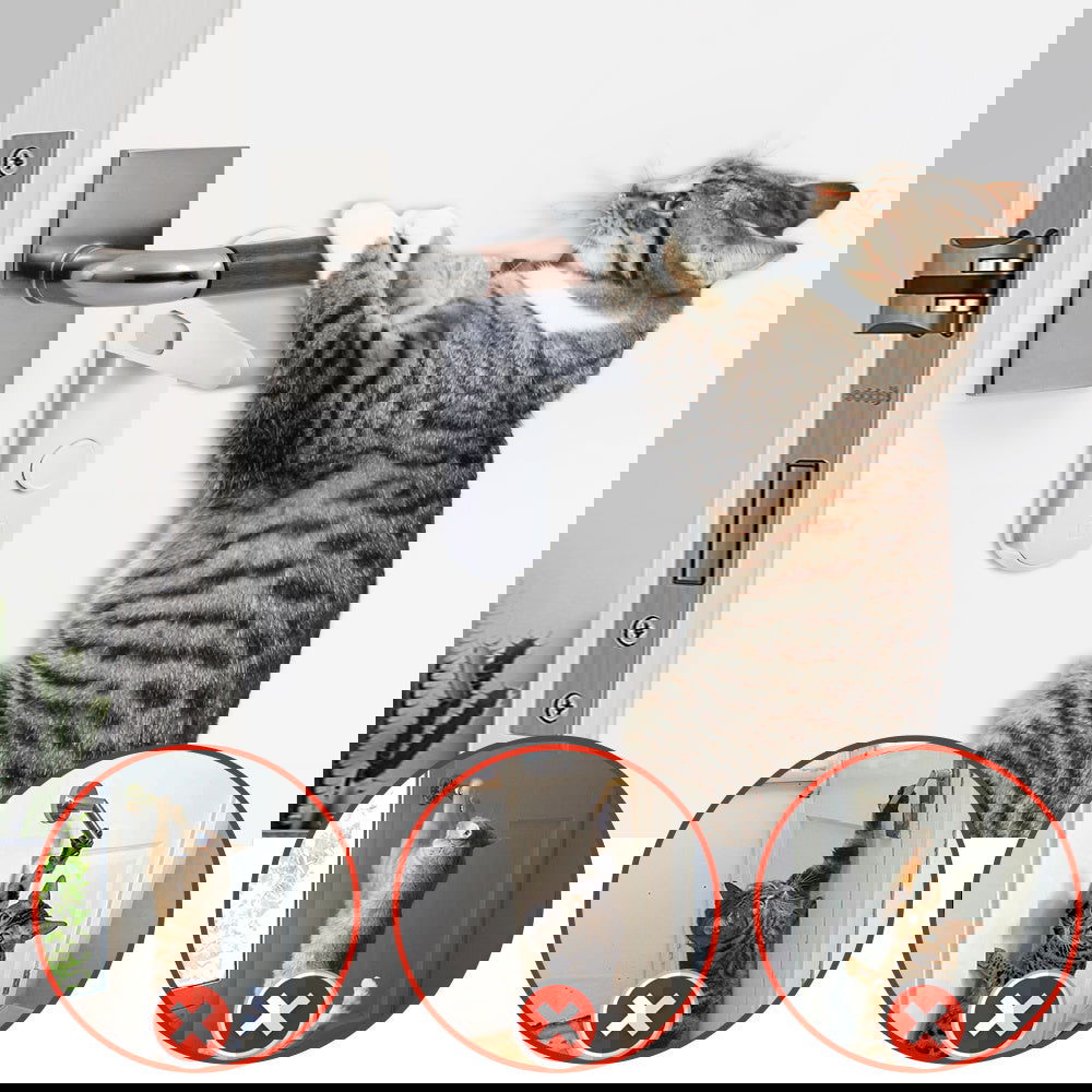 Pet's Children's Door Lever Lock Opening Artifact Anti-cat Anti-pet Room Easy To Install And Use - My Store - - #tag1# - #tag2#