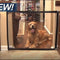 Portable Folding Isolation  Dog Fence - My Store - - #tag1# - #tag2#