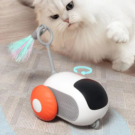 Remote Control Interactive Cat  USB Toy - maxsophie.com