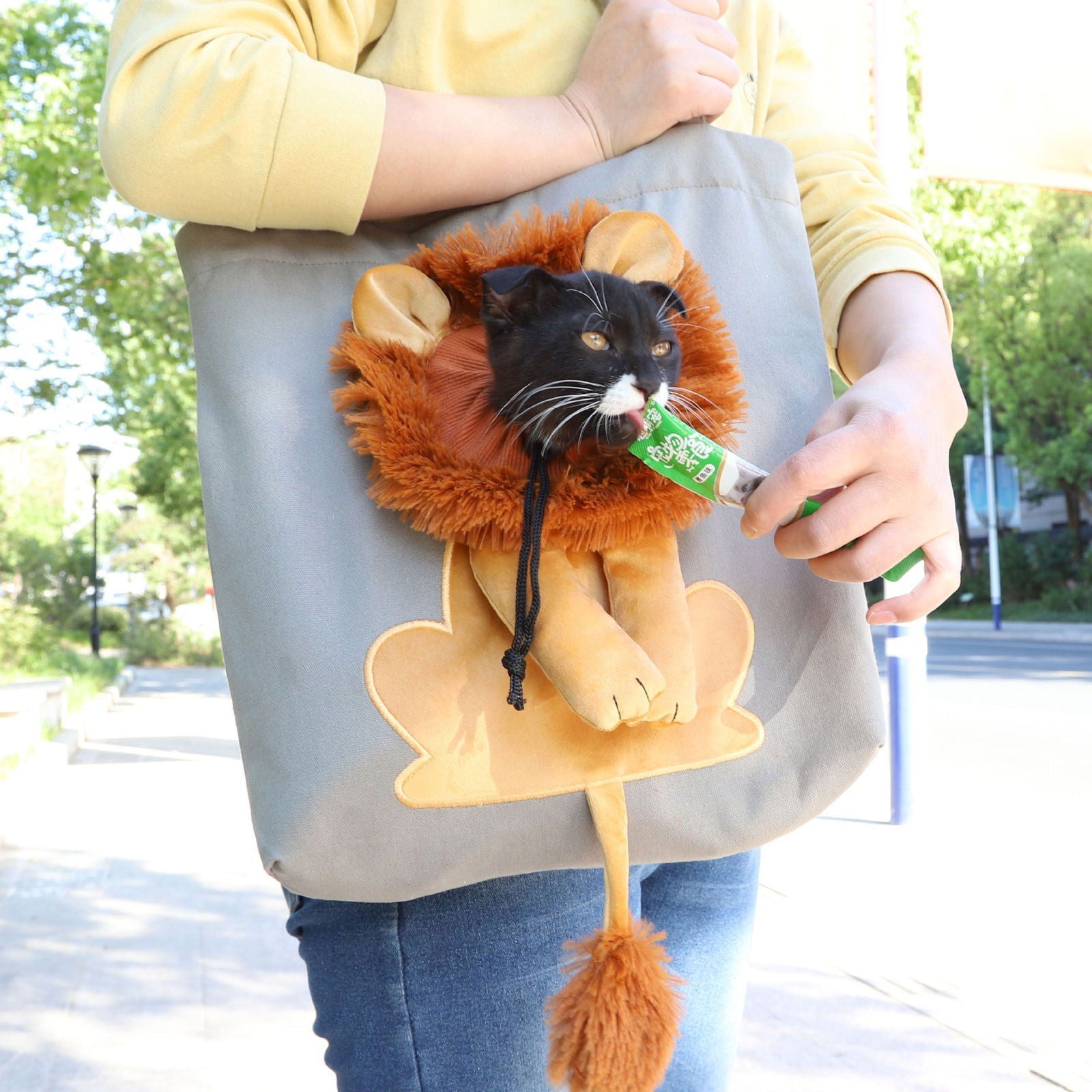 Soft Pet Outing Bag Lion Design - maxsophie.com