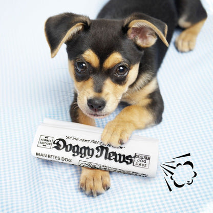 Squeaky Newspaper Chew Training Toys - maxsophie.com