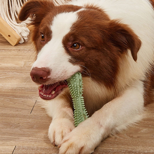 Teeth Cleaning Chew Toys for Dogs - maxsophie.com