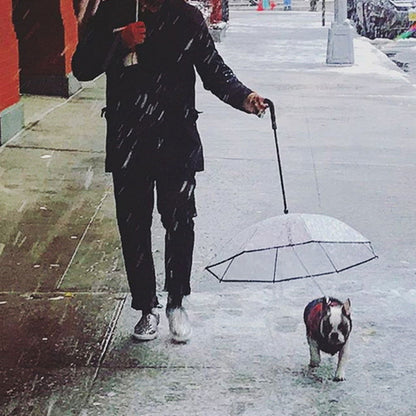 Transparent Dog Umbrella - maxsophie.com