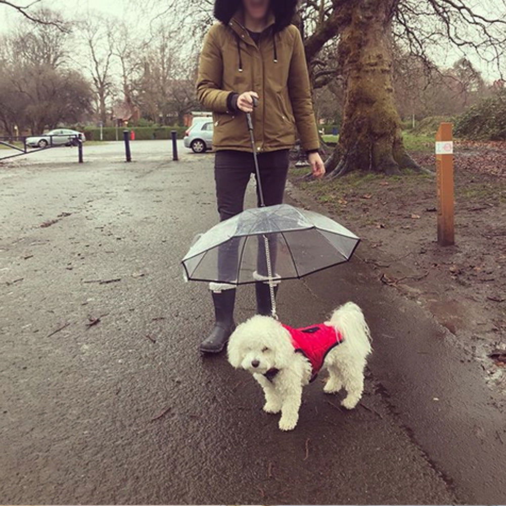 Transparent Dog Umbrella - maxsophie.com