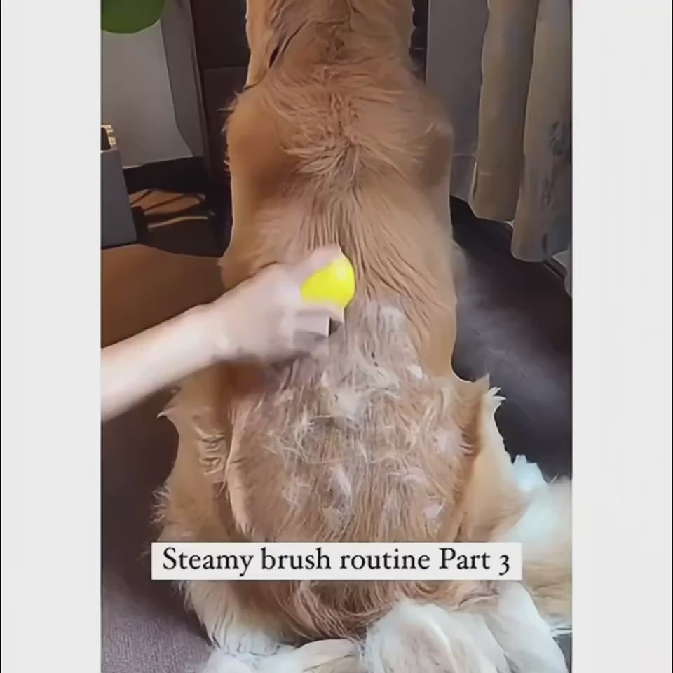 Our pet steam brush effectively groom your pet and it also enhances bonding and comfort